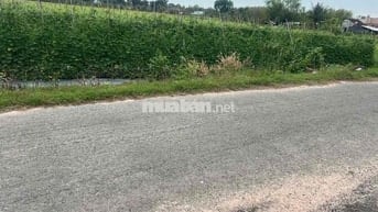 🌾🔥 CHÍNH CHỦ CẦN BÁN GẤP LÔ ĐẤT ĐẸP – XÃ THÁI MỸ, HUYỆN CỦ CHI 🔥🌾