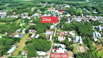 Lô góc 2 mặt tiền đường nhựa, cách chợ 100m 12x50x100m2 thổ cư 