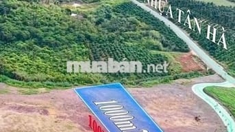 ĐẤT NỀN LÂM ĐỒNG VIEW ĐỒI GIÁP NHỰA – 1.000m² CHỈ 630 TRIỆU!