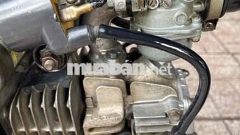 W thái 110 Đời 1999 Bstp 1 đời chủ (Đầu zin)