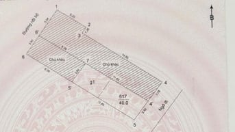 89 Lạc Long Quân - MẶT TIỀN KINH DOANH, NHÀ VEN HỒ, VIEW XANH MÁT