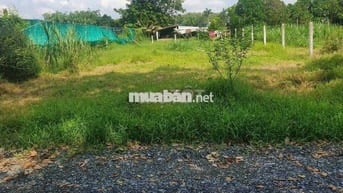 Đất 709m2 ngay Thạnh Đức, Gò Dầu, SHR, khu dân cư hiện hữu, giá 890tr.