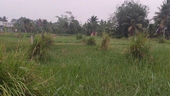 Cần bán đất thổ cư, liên hệ ông Trân. 0949.322.631