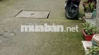 Đại Gia Đình Đoàn Viên, 5 PN, Gần MT, Xe Hơi Đậu Cửa