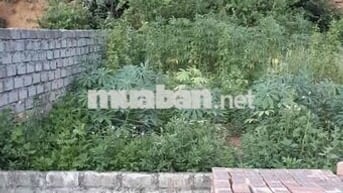 Đất 85m2 ngang 5,6m MT đường 10m Thôn 10, Kỳ Sơn 800 triệu