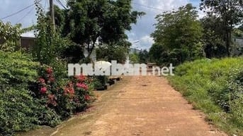 BÁN LÔ ĐẤT TÂM HUYẾT MẶT TIỀN ĐƯỜNG NHỰA A4 THÔN 4 XÃCUÊBUR (CŨ)_TpBM