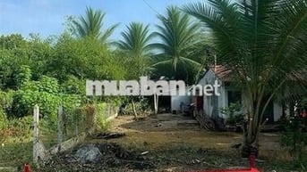 ✅Đất ngộp 1/ Cây Trôm Mỹ Khánh 170m², cách MT 200m, giá 1.78 tỷ TL