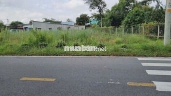 ✅Ngộp: đất MT Cây Trôm Mỹ Khánh 140m², SHR, giá 1.65 tỷ thương lượng