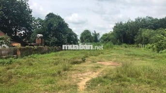 CẦN BÁN LÔ ĐẤT 1500M2 TRẢNG BÀNG TÂY NINH GIÁ 1 TỶ2 THƯƠNG LƯỢNG