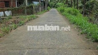 Chính chủ cần bán gấp đất đang trồng dừa