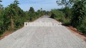 Bán đất mặt tiền Tam Tân, đối diện sân gofl West Lake,2.35 tỷ