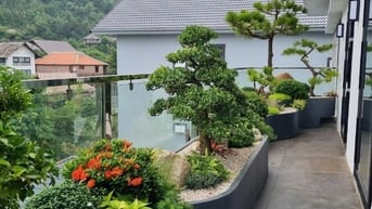 🌸 1. TIỂU CẢNH BAN CÔNG – KHÔNG GIAN NHỎ, CẢM XÚC LỚN