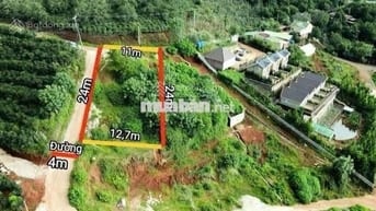 Bán đất biệt thự 273m2 giá 489 triệu đường nhựa Măng Lin - thung lũng