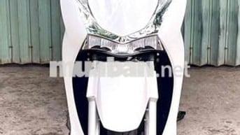 SH 125/2024 bao kí giấy