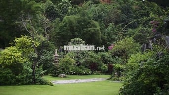 Bán trang trại, khu nghỉ dưỡng tại Đông Anh, Hà Nội diện tích 5000m2