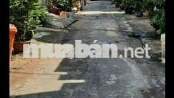 Bán nhà Đất Mới Bình Tân diện tích 4x10, 5m giá nhỉnh 4 tỷ.