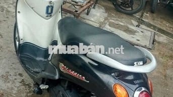 mio Classico thái biển Sài Gòn