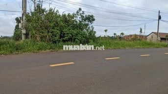 ĐẤT MẶT TIỀN ĐƯỜNG LÝ THÁI TỔ - CÓ THỔ CƯ