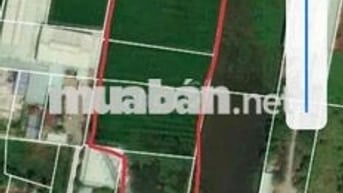 1,2 mẫu đất mặt tiền đường Bình Mỹ có thổ cư bán 82 tỷ