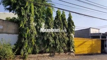 2300m2 xưởng đg 157 gần hocmon