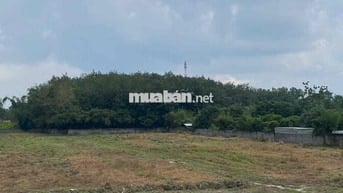 1,9 hecta đất mặt tiền Tỉnh Lộ 7 bán 80 tỷ