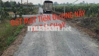 Cần tiền cho con du học, cần bán gấp đất Bến Lức- Long An