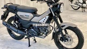 👉 Yamaha PG1 2025 chính chủ nâu cát 5800km cực mới
