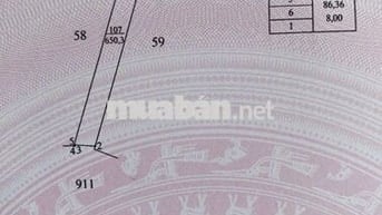 Đất chính chủ QL 52 Bà Rịa, Đã có sổ, 8m mặt tiền