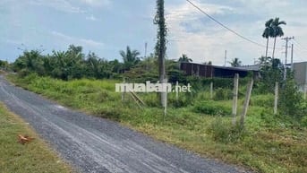 2773m2 đất thổ cư Bình Mỹ giá 25 tỷ