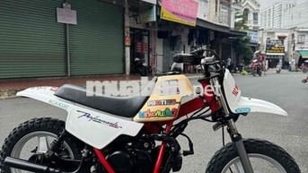 xe pw50 nội địa nhật