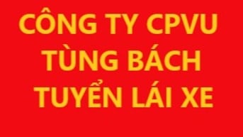 Công ty CPDV Vận Tải Quốc Tế Tùng Bách, tuyển 03 lái xe bằng D