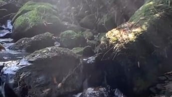  Bán gấp lô đất 1200m² nằm ngay Hồ Trị An giá 850 triệu view đẹp