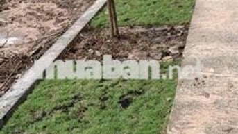 Gần TTHC xã Phước Thành có lô đất thổ cư SHR mt đường huyện lớn