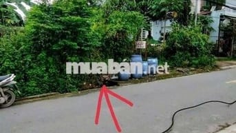 Bán lô đất mặt tiền đường tân phước dĩ An DT 600m2