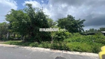 rẻ quá 12m mặt tiền Dx mà giá chưa đến 10tr/m2 tặng bản vẽ nhà vườn