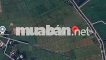 🌿 BÁN ĐẤT GIÁ RẺ XÃ TRUNG LẬP HẠ – CỦ CHI 🌿