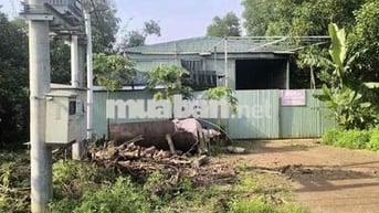 Cần cho thuê nhà xưởng MT DT768 Trị An Đồng Nai
