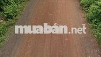 🏡 BÁN ĐẤT TP BUÔN MA THUỘT GIÁ RẺ