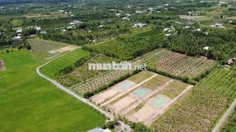 4500m2 150m2 đất ở Hòa Phong Đà Nẵng