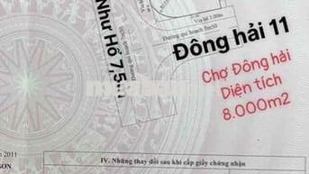 Bán đất 2 mặt tiền Lê như hổ + Đông hải 11 view chợ Đông Hải