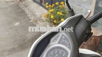 bán gấp mua xe khác