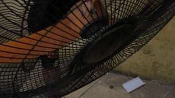 Bán combo 5 quạt cây công nghiệp