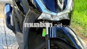 Sh 125 2024 biển 43. áo dán keo nguyên con