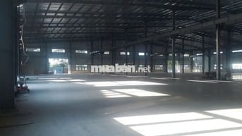 Cho thuê kho xưởng khu công nghiêp long hậu ,huyên cần giuộc