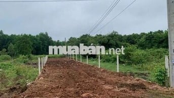 Mặt tiền nhựa. Sát khu công nghiệp.