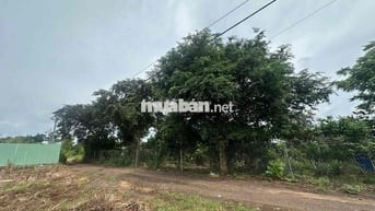 Bán vườn trái cây hàng gòn long khánh cách sân bay long thành 20 phút