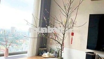 Chung cư Viet Đức Complex 39 Lê Văn Lương 74m2 2pn 2vs full 16tr