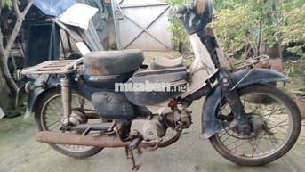 Honda cúp 70cc đời 81 biển số sài gòn