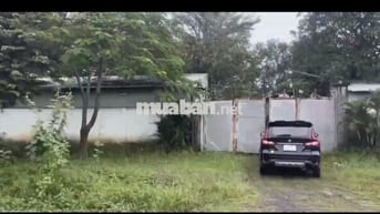 Bán gấp lô đất hơn 1 hec mặt đường Trương Thị Như Hóc Môn