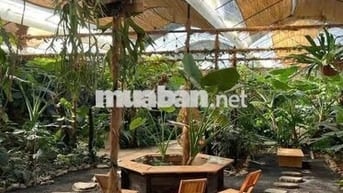 Cần sang quán cà phê tâm huyết (link googlemap dưới mô tả cho anh em)